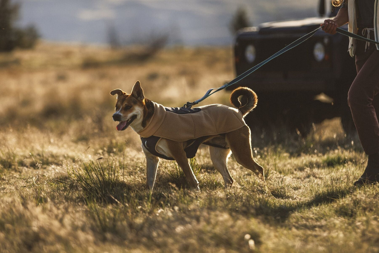 Ruffwear Autumn Winter 2026 Collection