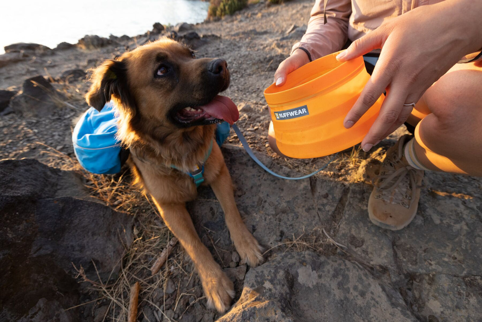 Dog drinking from a Ruffwear Bivy Bowl outdoors on rocky terrain