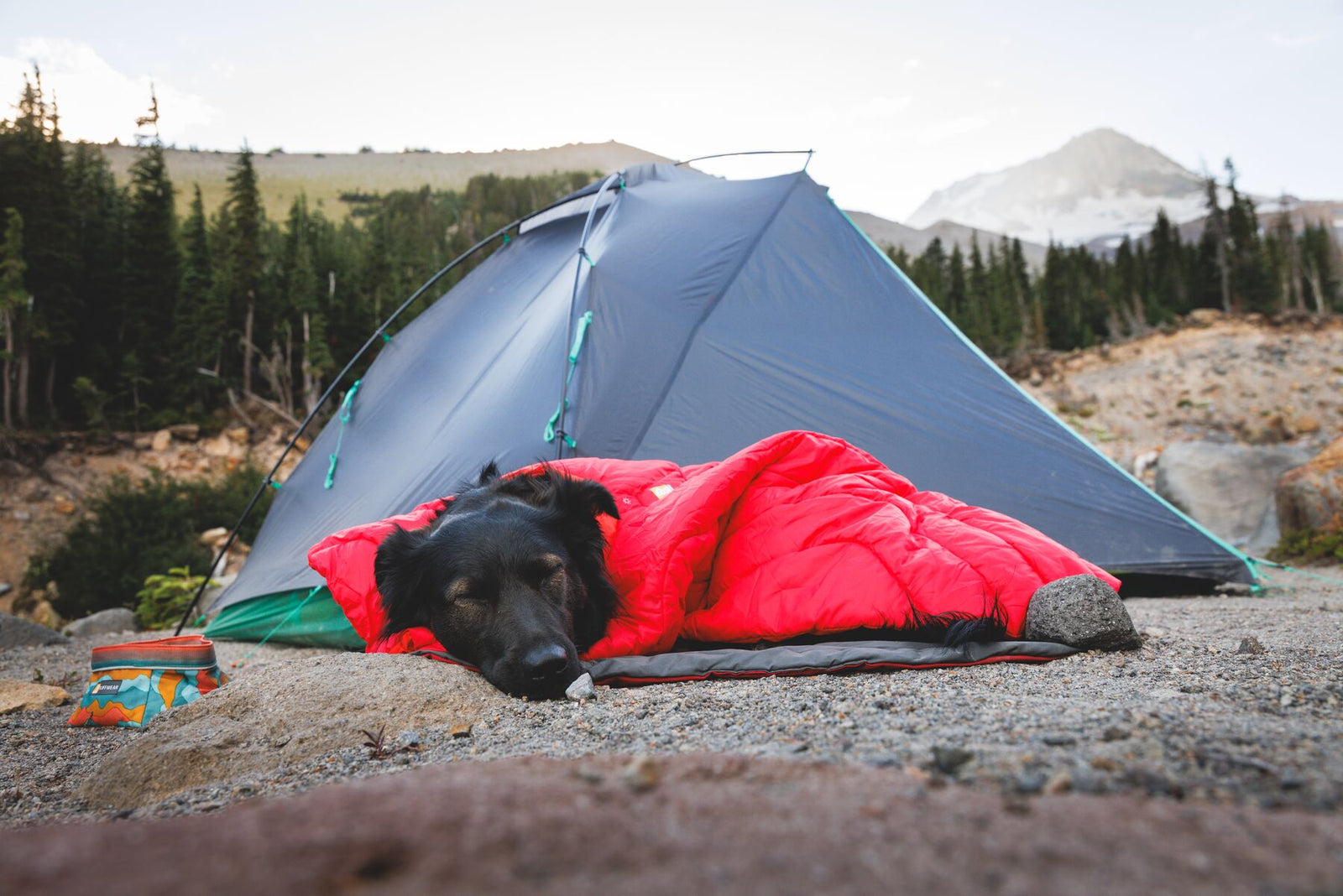 Dog sleeping in Ruffwear Palisades Sleep Poncho beside a tent in mountain landscape