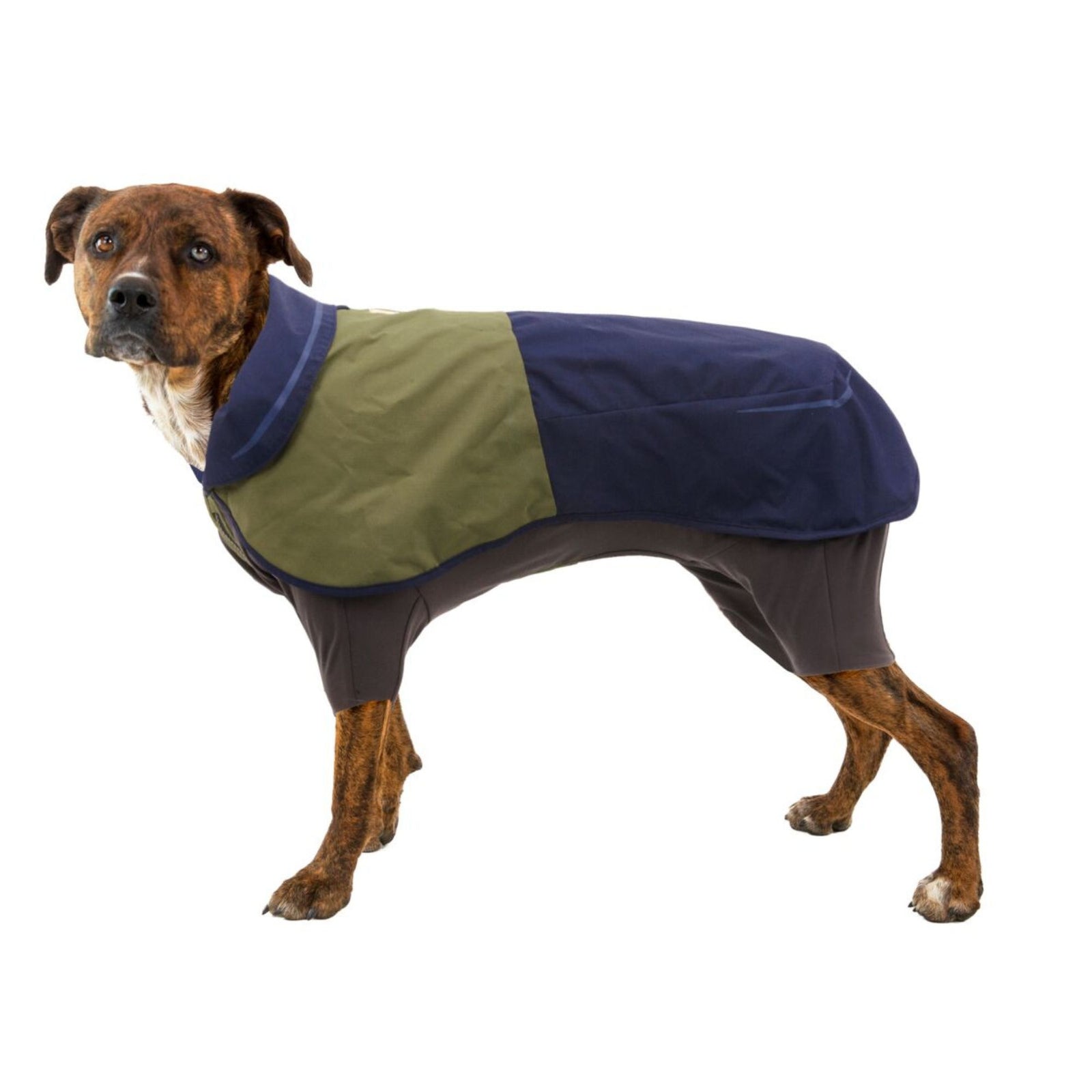 Dog wearing Ruffwear Sun Shower Coverall in Midnight Blue, standing side profile