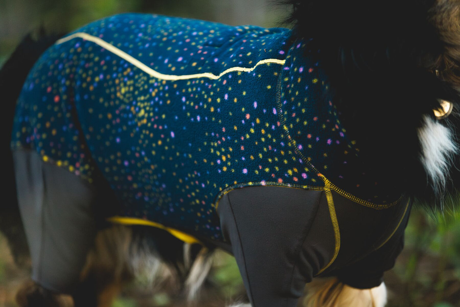 Dog wearing the Ruffwear Climate Changer Coverall in Galaxy colourway outdoors