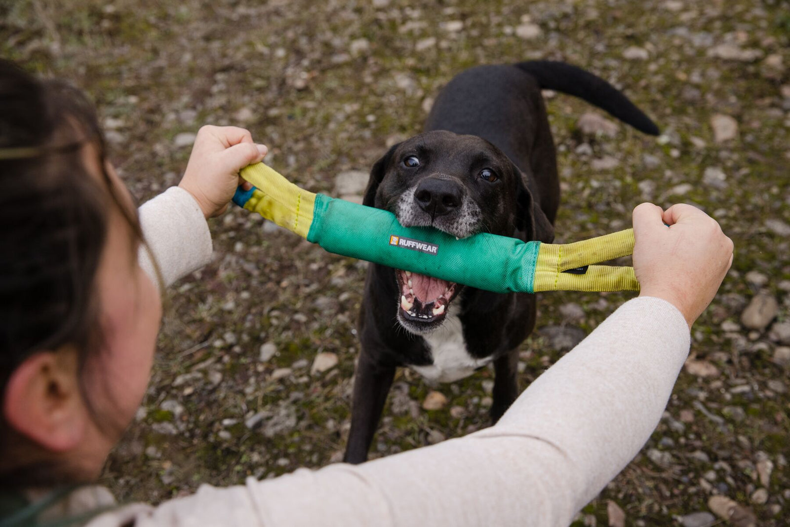 Owner holding both handles of the Ruffwear Pacific Loop toy in Aurora Teal while a black Labrador grips the central tug pad, Ruffwear badge clearly visible