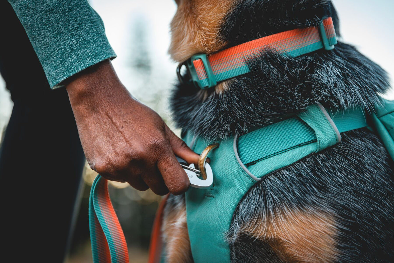 Close-up of a handler clipping a leash to the aluminium V-ring on the Ruffwear Front Range Day Pack in River Rock Green, worn by a dog on trail.