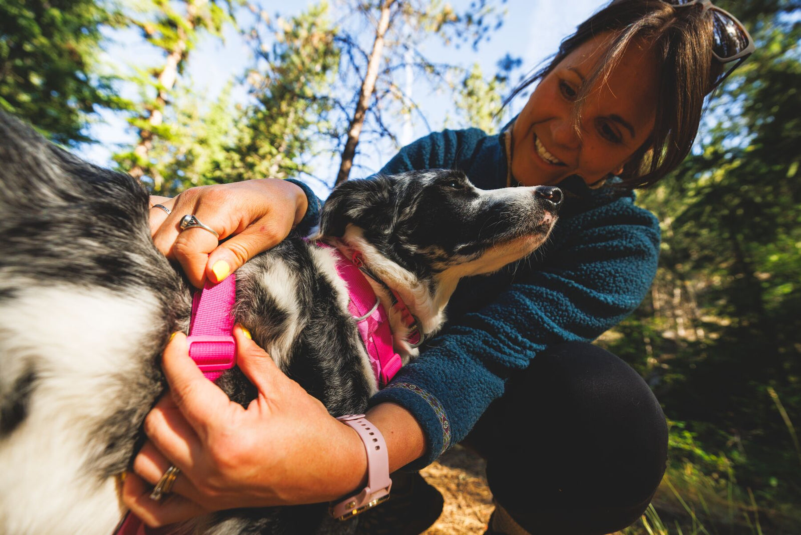Smiling woman crouching in a sunlit forest, fitting a Ruffwear Front Range chest harness and collar in Pink Mountains colourway onto a black and white dog who looks up at her, trees and blue sky visible behind them.