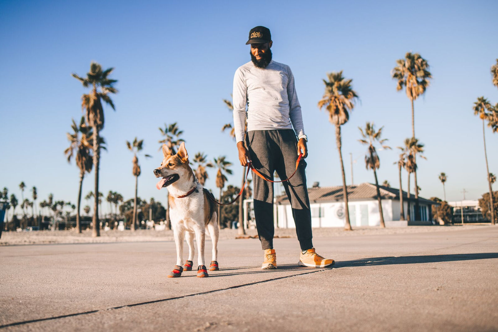 Dog wearing Ruffwear Grip Trex Boots walking on beach path