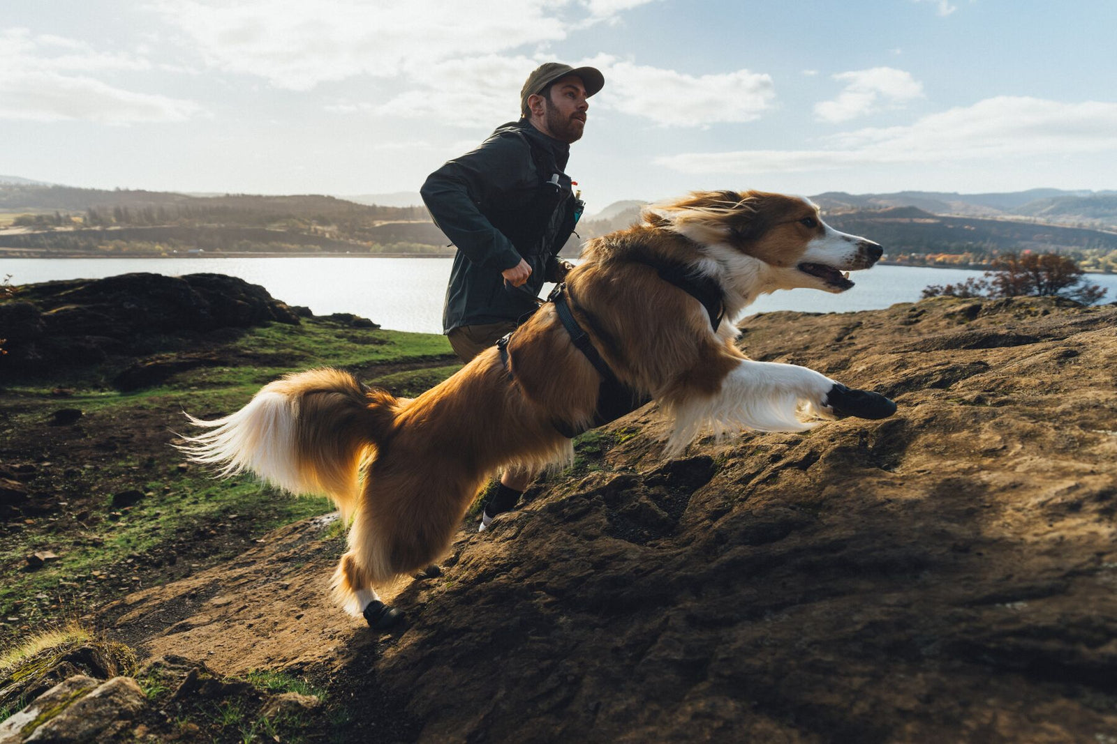 Dog leaping up rocky coastal terrain wearing Ruffwear Ridgeline Shoes