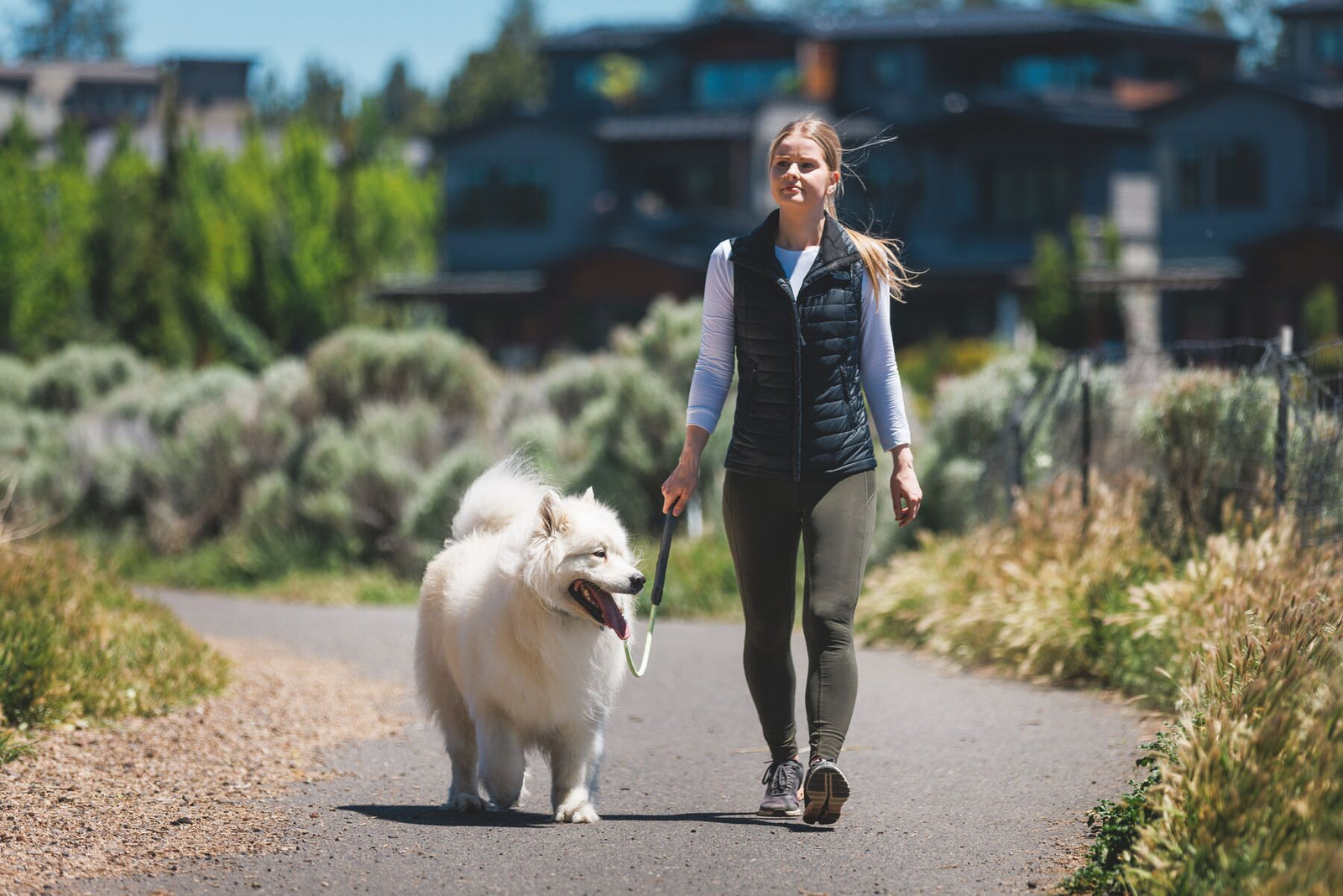 Woman walking a white Samoyed on the Ruffwear Knot-a-Long leash in Moss Green along a sunny path at a dog park