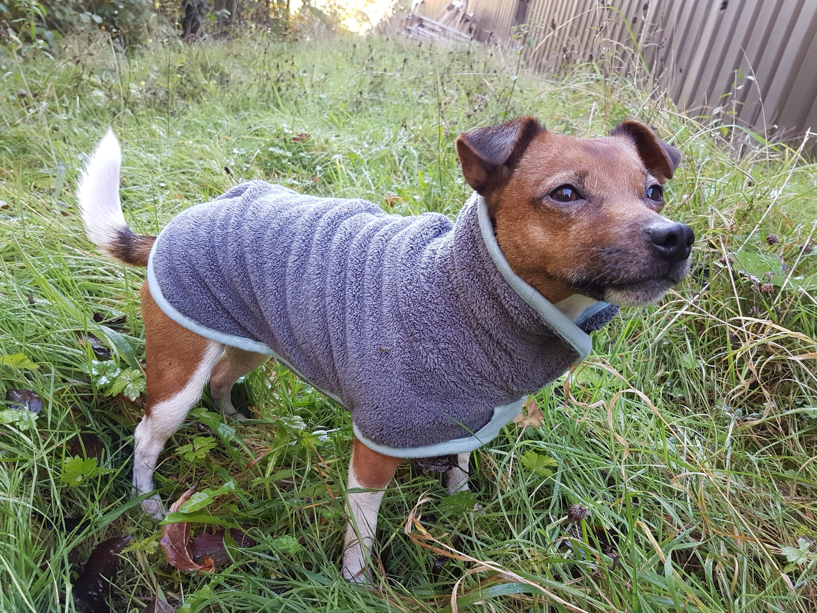 Henry Wag Microfibre Dog Drying Coat | Barks & Bunnies