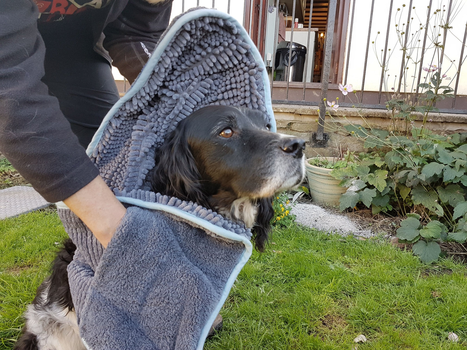 Henry Wag Microfibre Noodle Glove Towel For Dogs | Barks & Bunnies