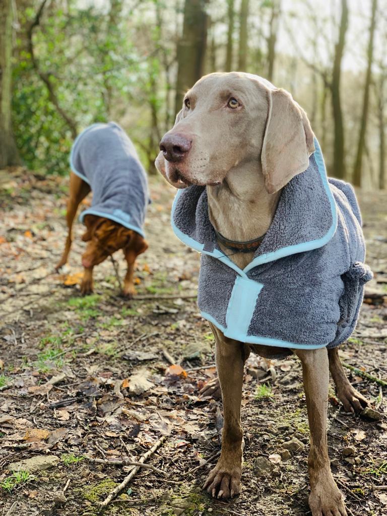 Henry Wag Microfibre Dog Drying Coat | Barks & Bunnies