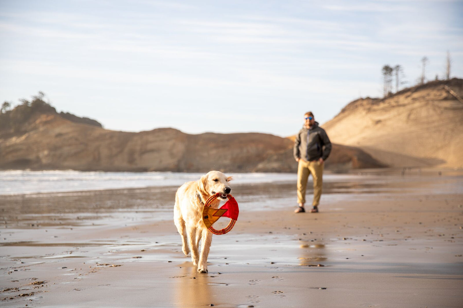 Golden retriever carrying the Ruffwear Pacific Ring toy in Sockeye Red across a wet sandy beach, owner standing in the background against dramatic coastal cliffs