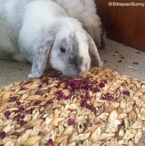 Rose Petals