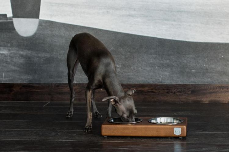 Bowl & Bone Republic DUO Amber, Handmade Dog Bowl | Barks & Bunnies