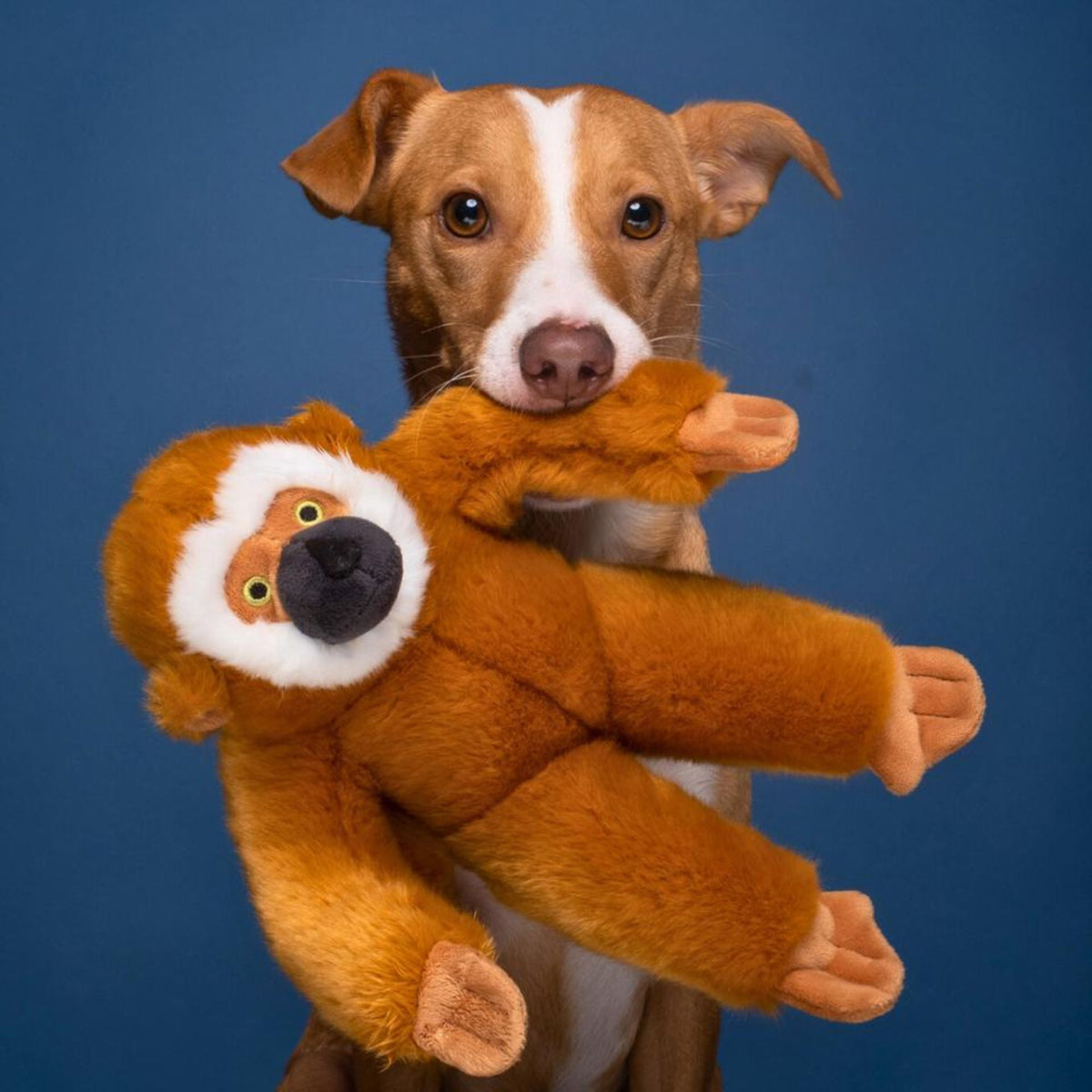 Fluff &amp; Tuff Marcel Monkey, Durable Plush Dog Toys | Barks &amp; Bunnies