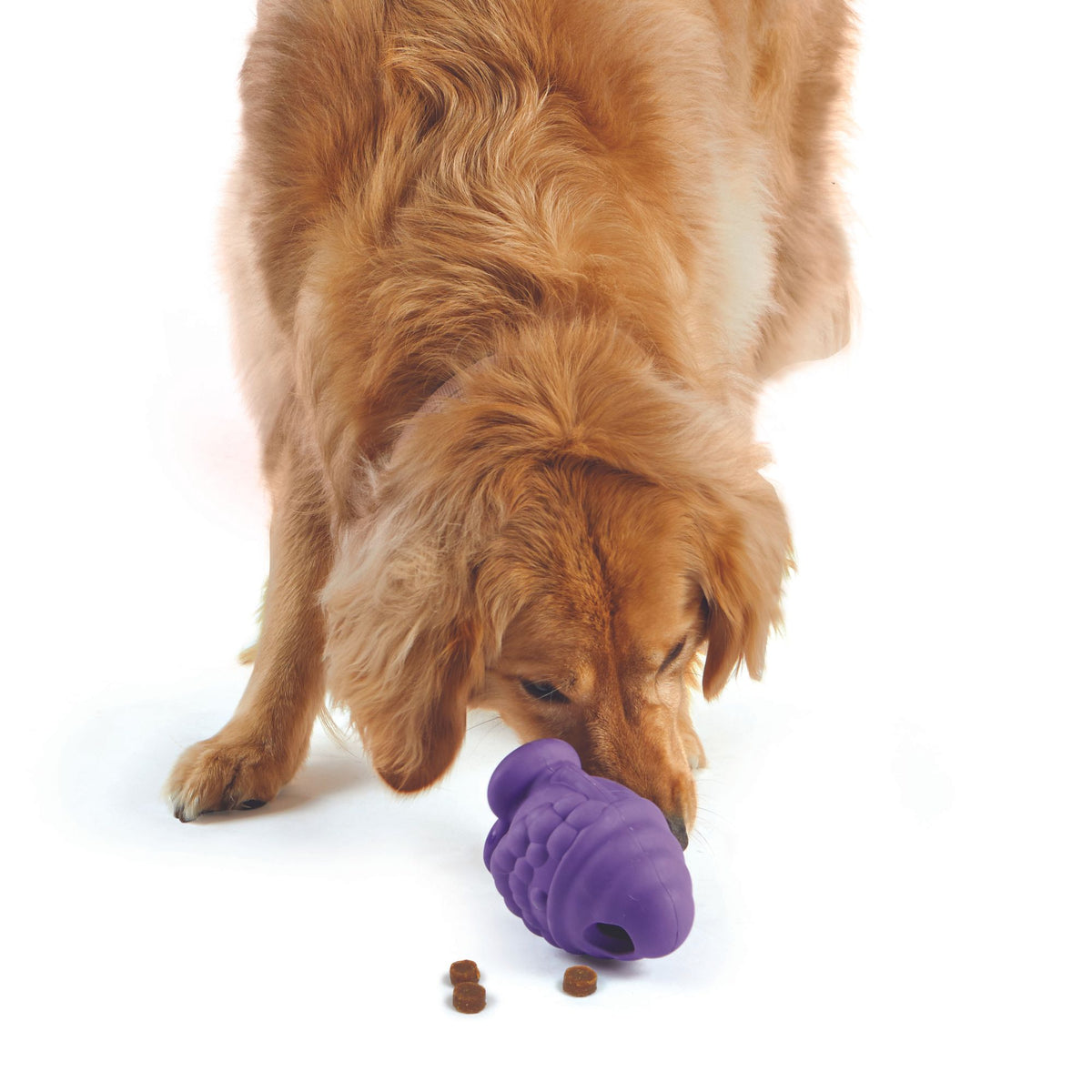 Brightkins Gnome Treat Dispenser Interactive Dog Toy | Barks &amp; Bunnies