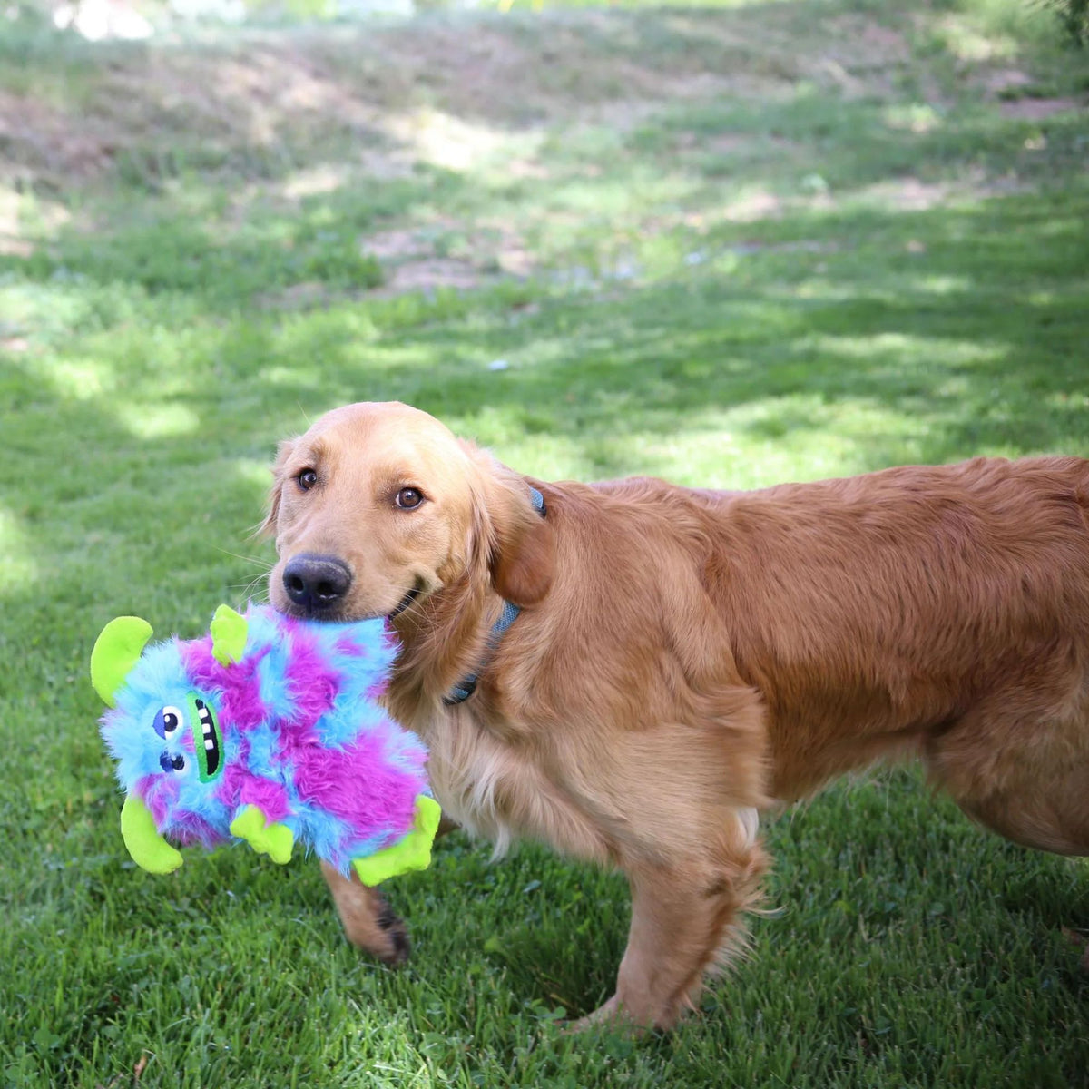 Kong Frizzles Razzle Plush Dog Toy | Barks &amp; Bunnies