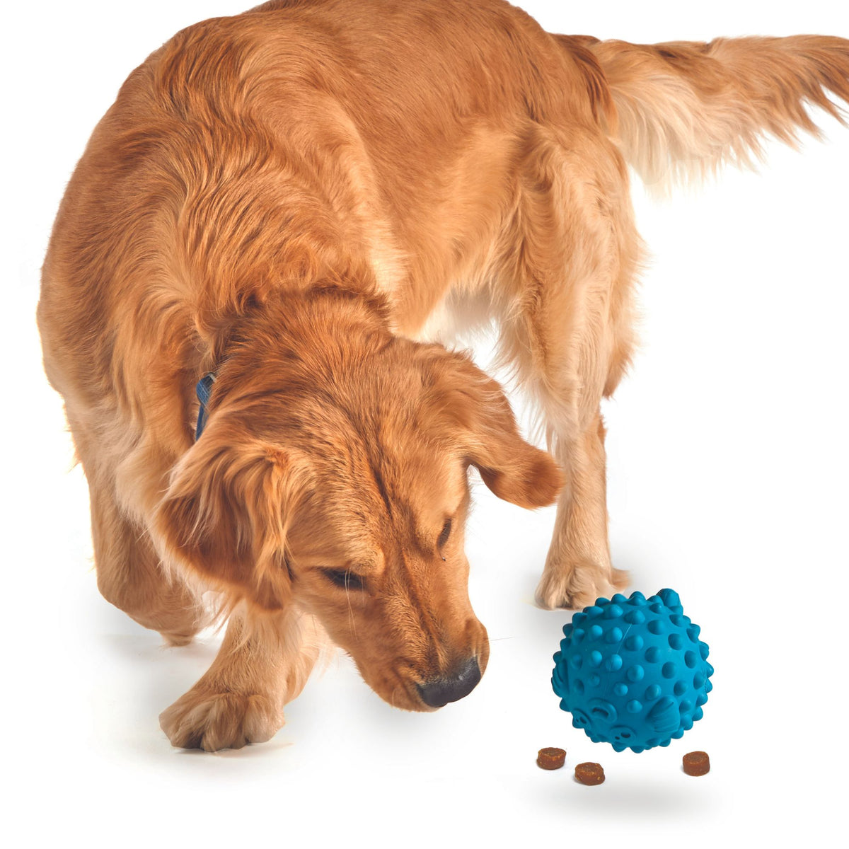 Brightkins Pufferfish Treat Dispenser Interactive Dog Toy | Barks &amp; Bunnies