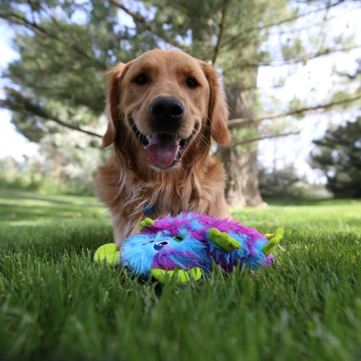 Kong Frizzles Razzle Plush Dog Toy | Barks &amp; Bunnies