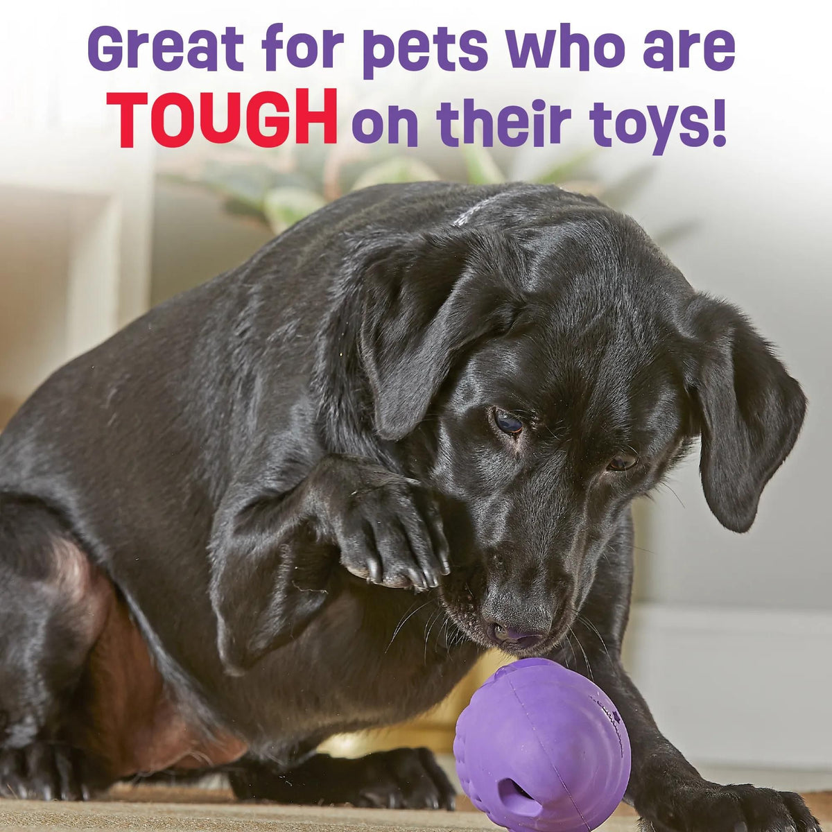 Brightkins Gnome Treat Dispenser Interactive Dog Toy | Barks &amp; Bunnies