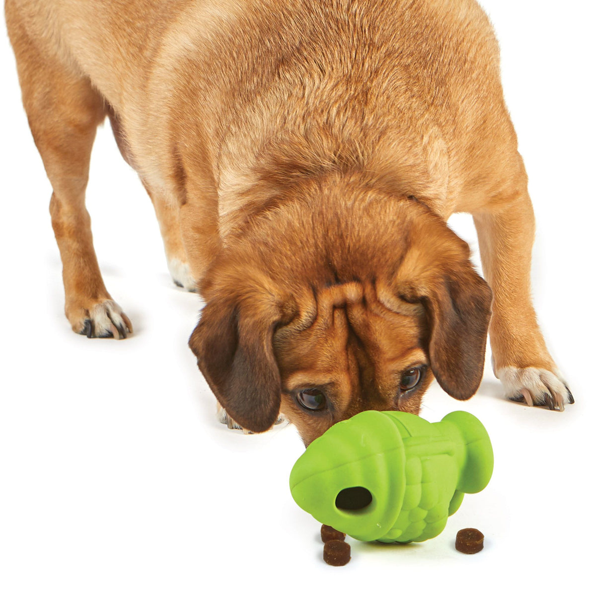 Brightkins Gnome Treat Dispenser Interactive Dog Toy | Barks &amp; Bunnies