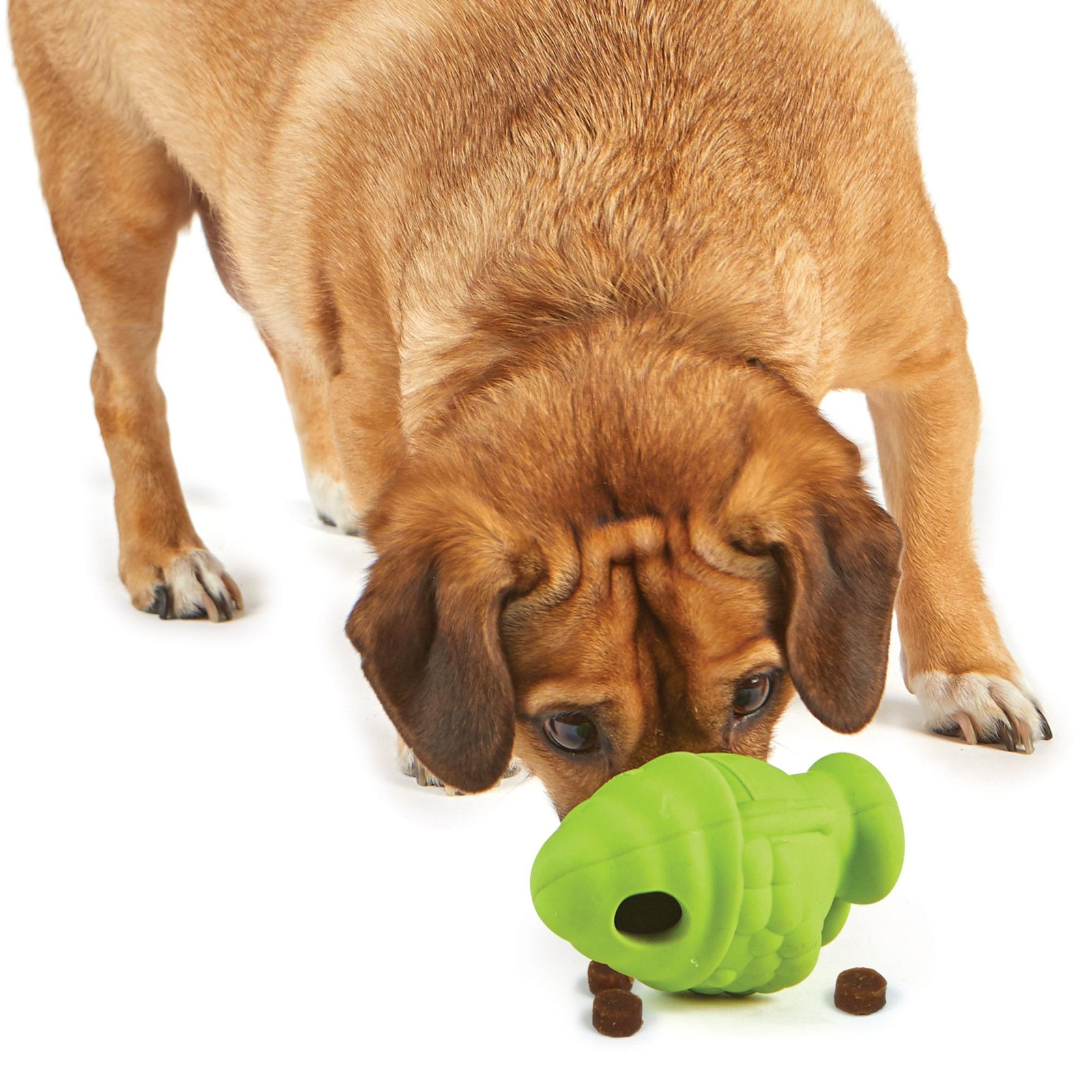 Brightkins Gnome Treat Dispenser Interactive Dog Toy | Barks & Bunnies