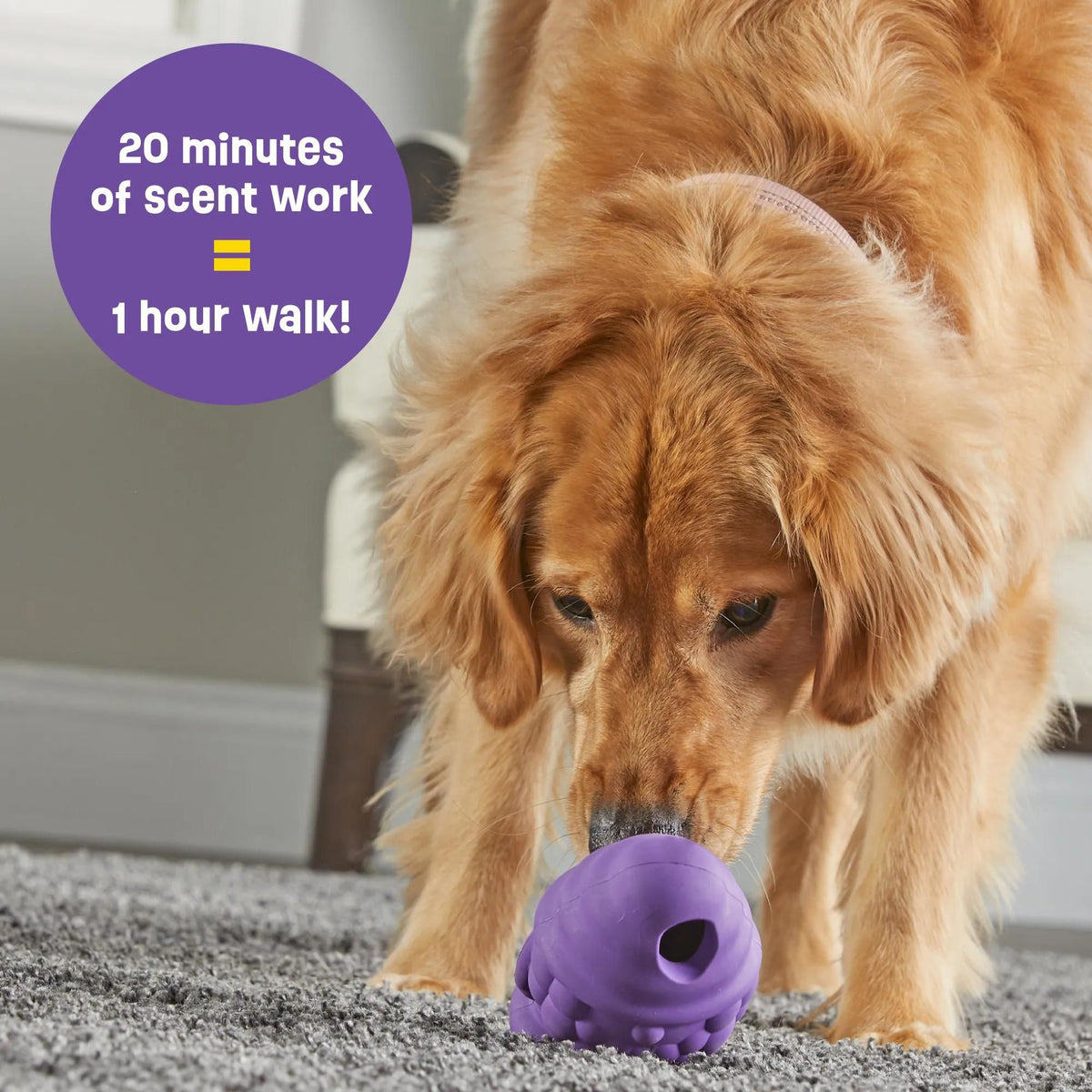 Brightkins Gnome Treat Dispenser Interactive Dog Toy | Barks &amp; Bunnies
