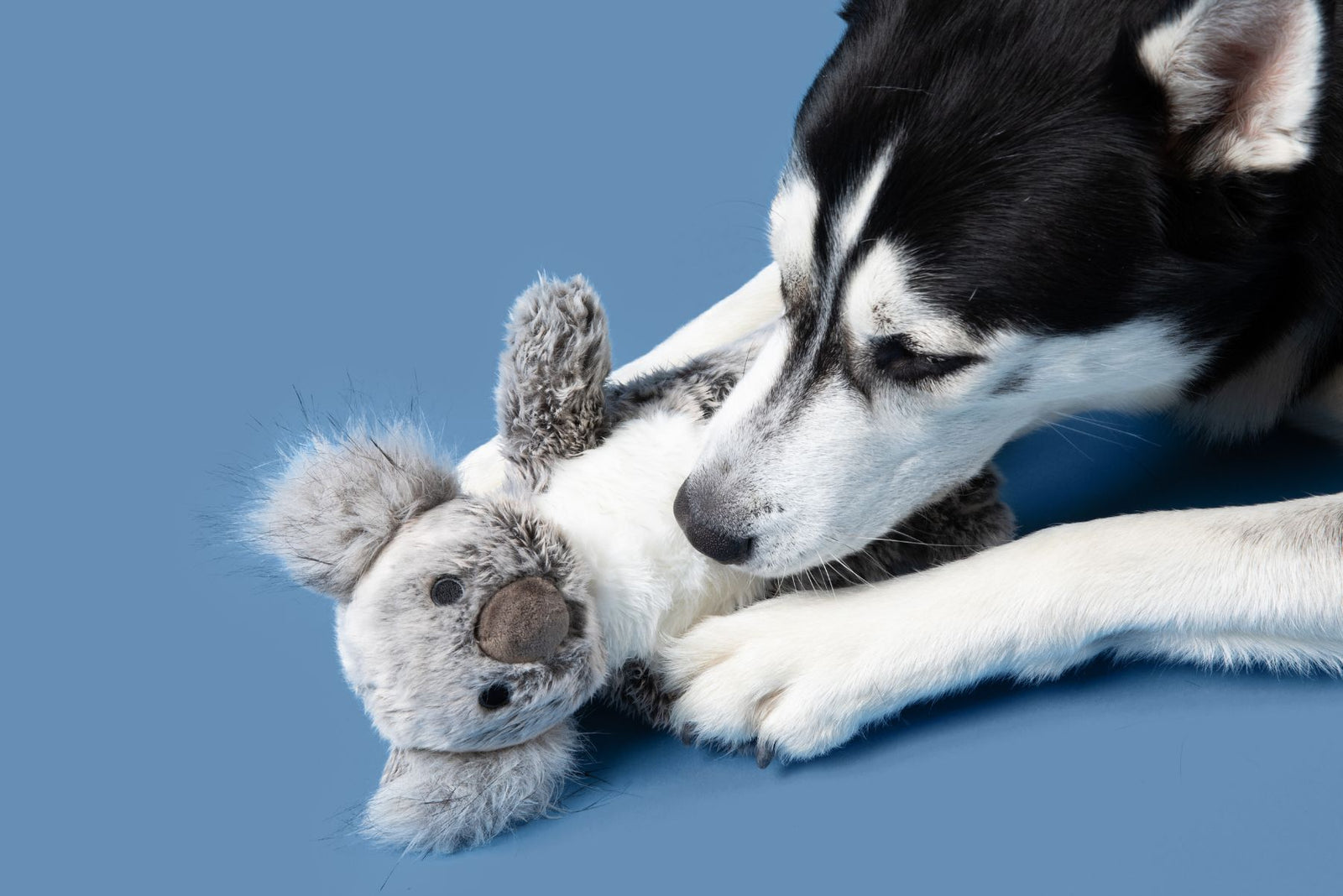 Fluff & Tuff Doc Koala grey plush dog toy on white background
