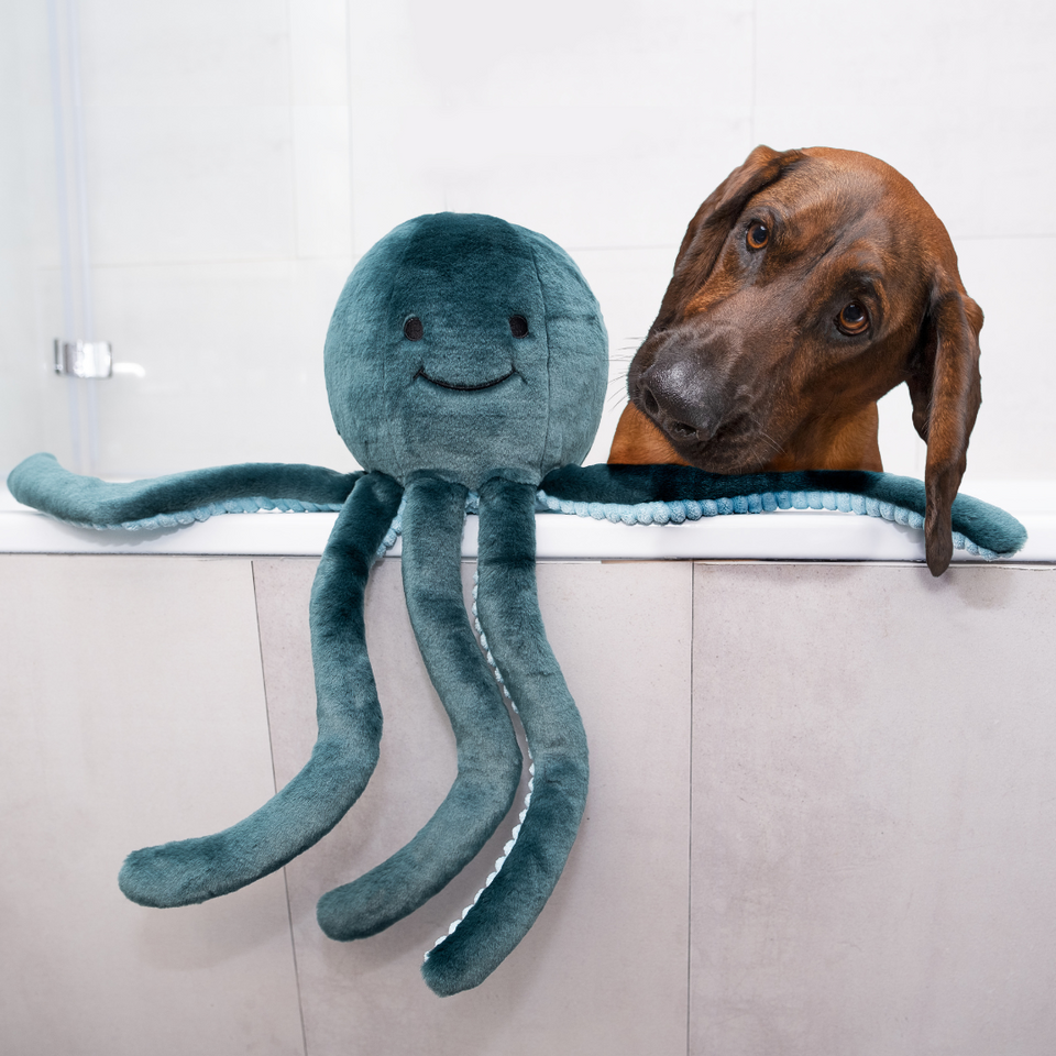 Fluff & Tuff Stevie Octopus teal plush dog toy on white background