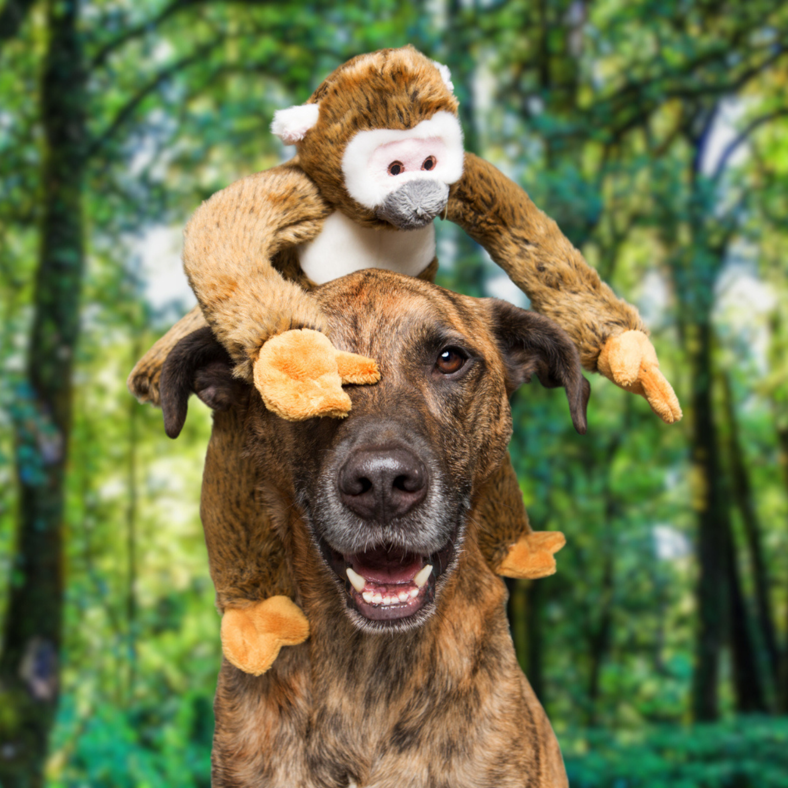 Fluff & Tuff Albert Squirrel Monkey brown plush dog toy on white background


