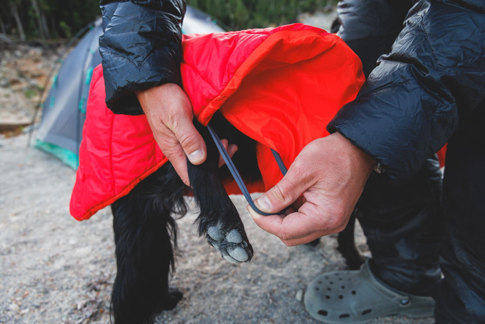 Person fitting Ruffwear Palisades Sleep Poncho onto a dog outdoors with leg loops