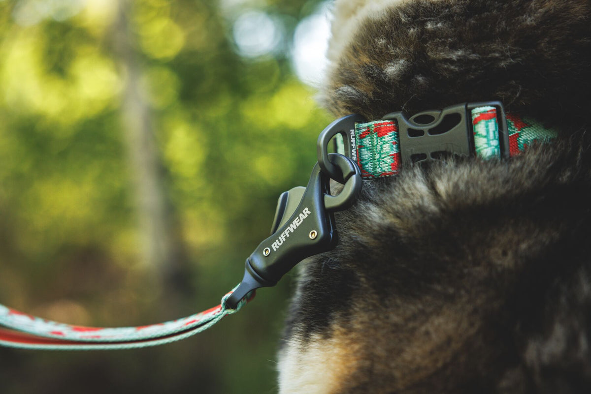 Ruffwear Crag Reflective Dog Collar and matching Crag Leash in Tropical Bloom worn on a dog outdoors - sage green and burnt orange floral pattern with side-release buckle - Barks &amp; Bunnies, UK Ruffwear stockist