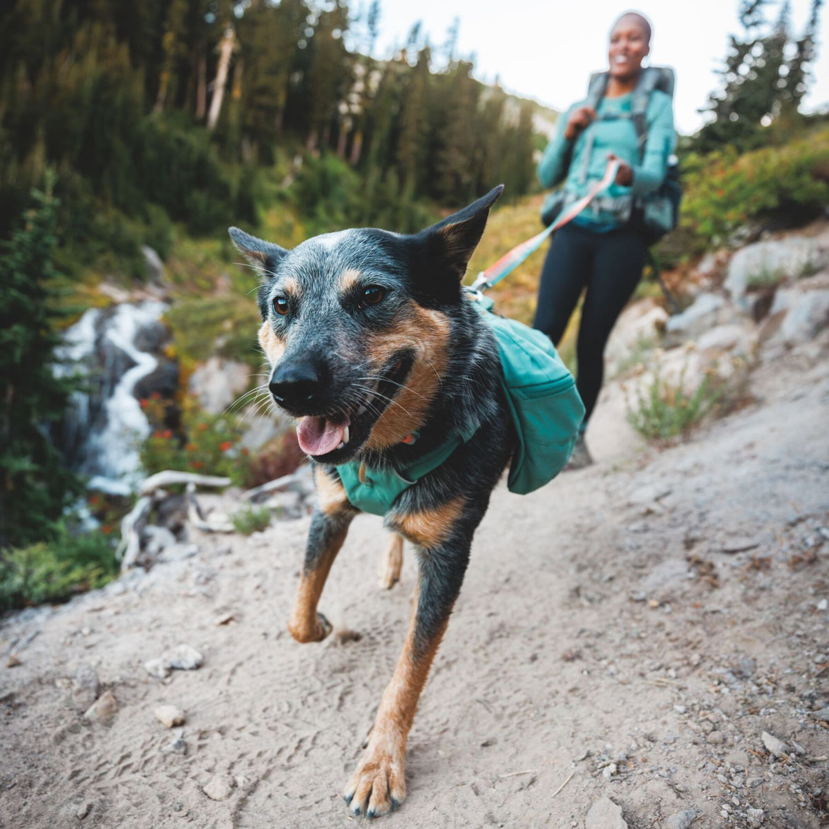 Blue heeler striding ahead on a rocky mountain trail wearing the Ruffwear Front Range Day Pack in River Rock Green, handler visible behind on a sunny day.