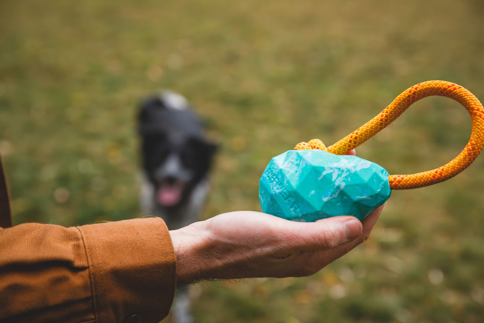 Person holding the Ruffwear Huck-a-Cone toy in Glacial Blue with yellow kernmantle rope handle in an outstretched palm outdoors, with a black and white dog waiting eagerly in the background