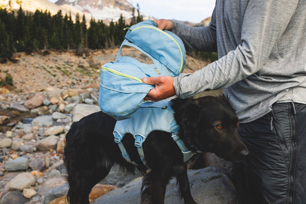 Owner attaching the saddlebag to the Ruffwear Palisades Pack harness chassis in Glacier Lake on a black dog, demonstrating the modular attachment system, rocky mountain landscape in the background