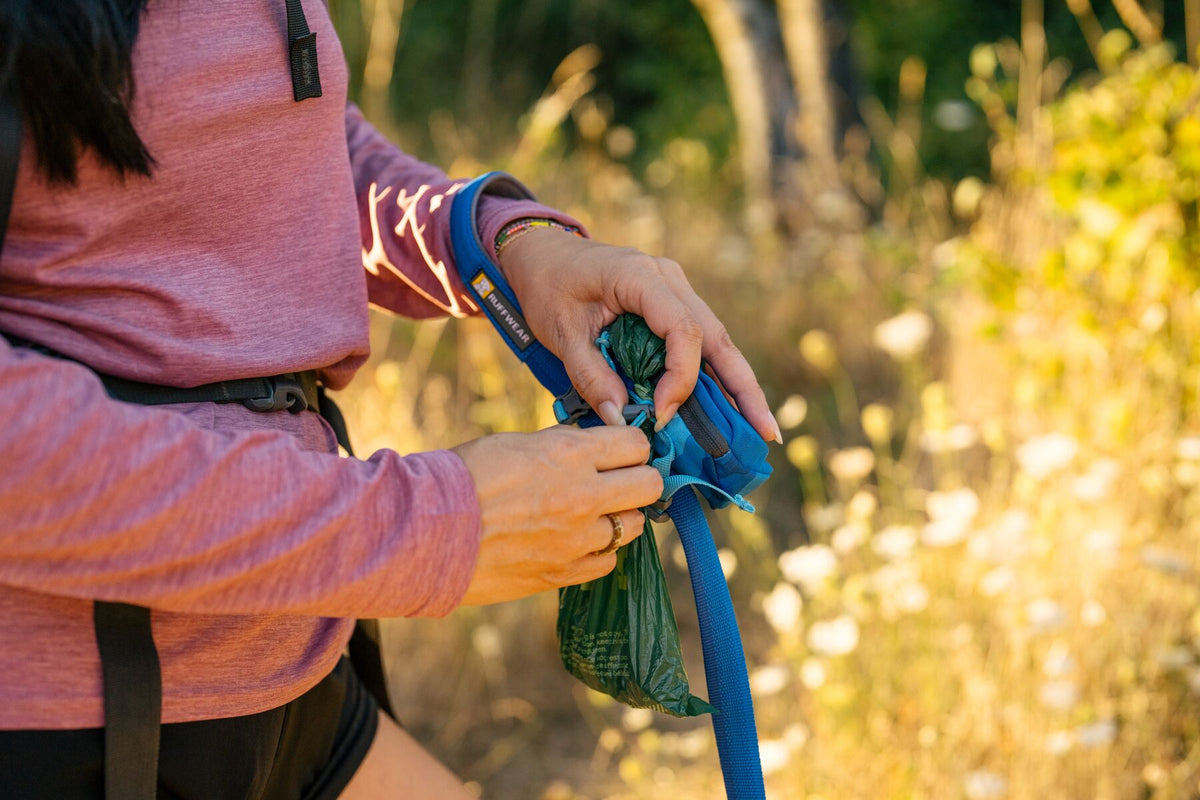 Woman on a sunlit woodland trail tying off a full green dog waste pick-up bag using the cinch loop on the Ruffwear Stash Bag Mini in Coastal Mountains, attached to a blue Ruffwear leash handle, warm golden light and tall grasses behind her