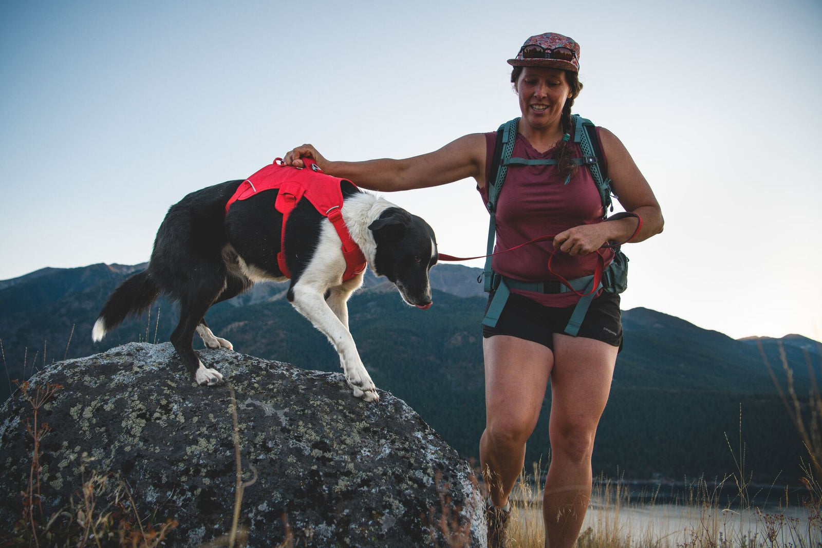 Woman using the padded handle to guide a black and white dog off a boulder wearing the Ruffwear Web Master harness in Red Canyon, open mountain landscape behind them