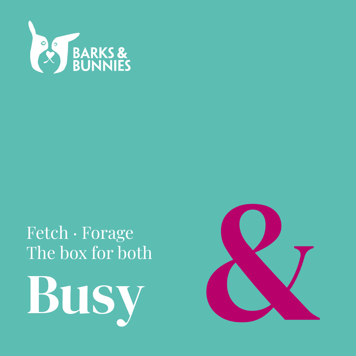 The Fetch &amp; Forage Box - Busy. A subscription box for dogs and rabbits. Teal background with a small pink ampersand and white text reading Fetch · Forage, The box for both, Busy.