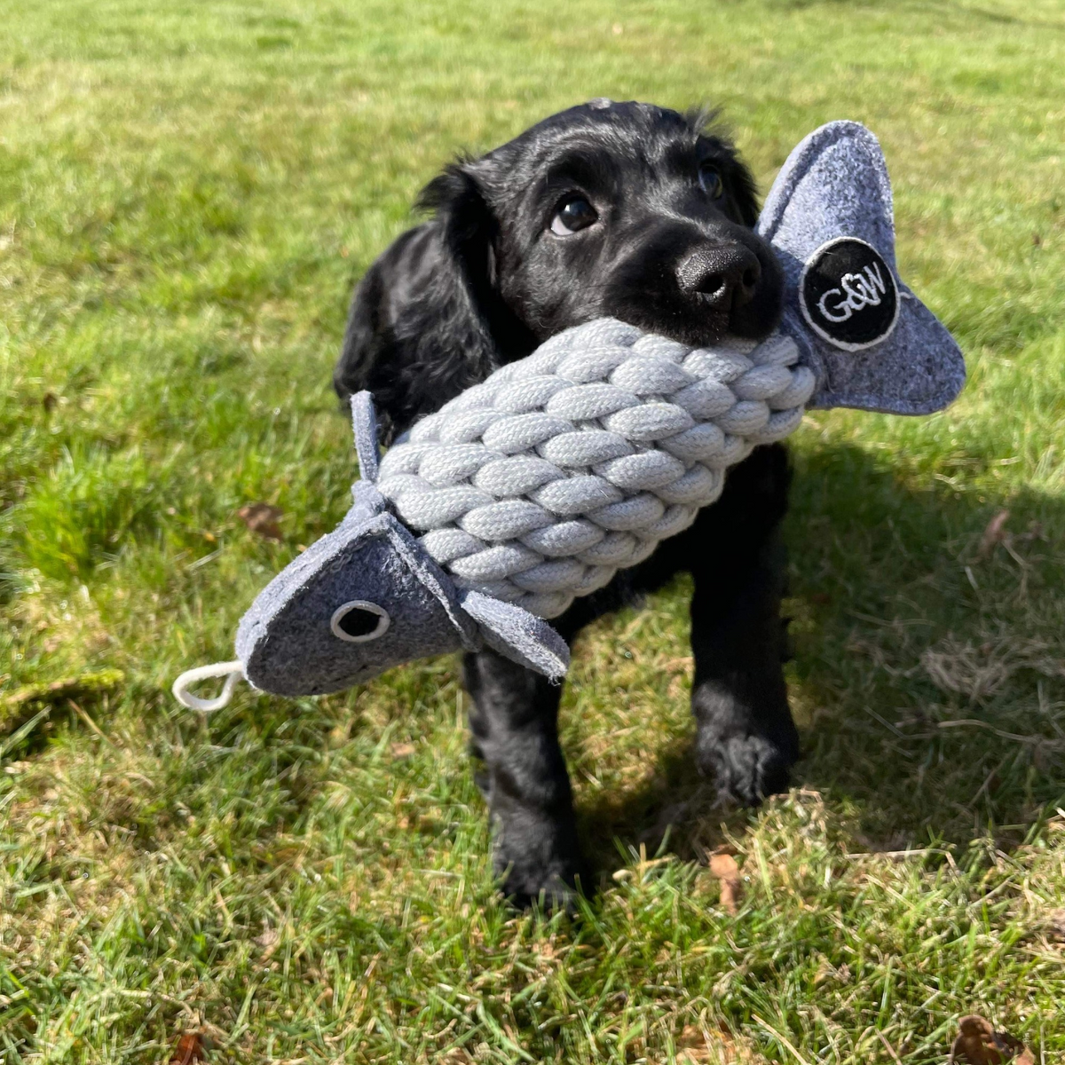 Green &amp; Wilds Roger the Ropefish Eco Dog | Barks &amp; Bunnies