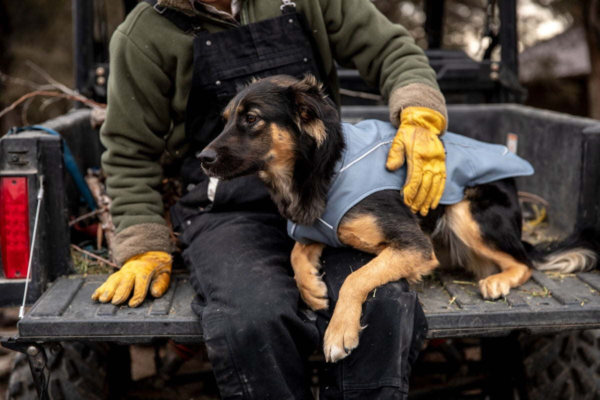 Ruffwear Overcoat, Warm Winter Dog Jacket | Barks &amp; Bunnies