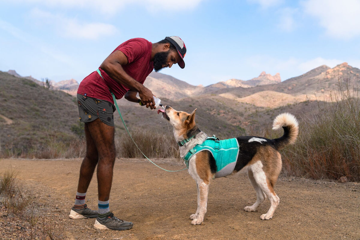 Person and dog outdoors wearing Ruffwear Hi &amp; Light collar