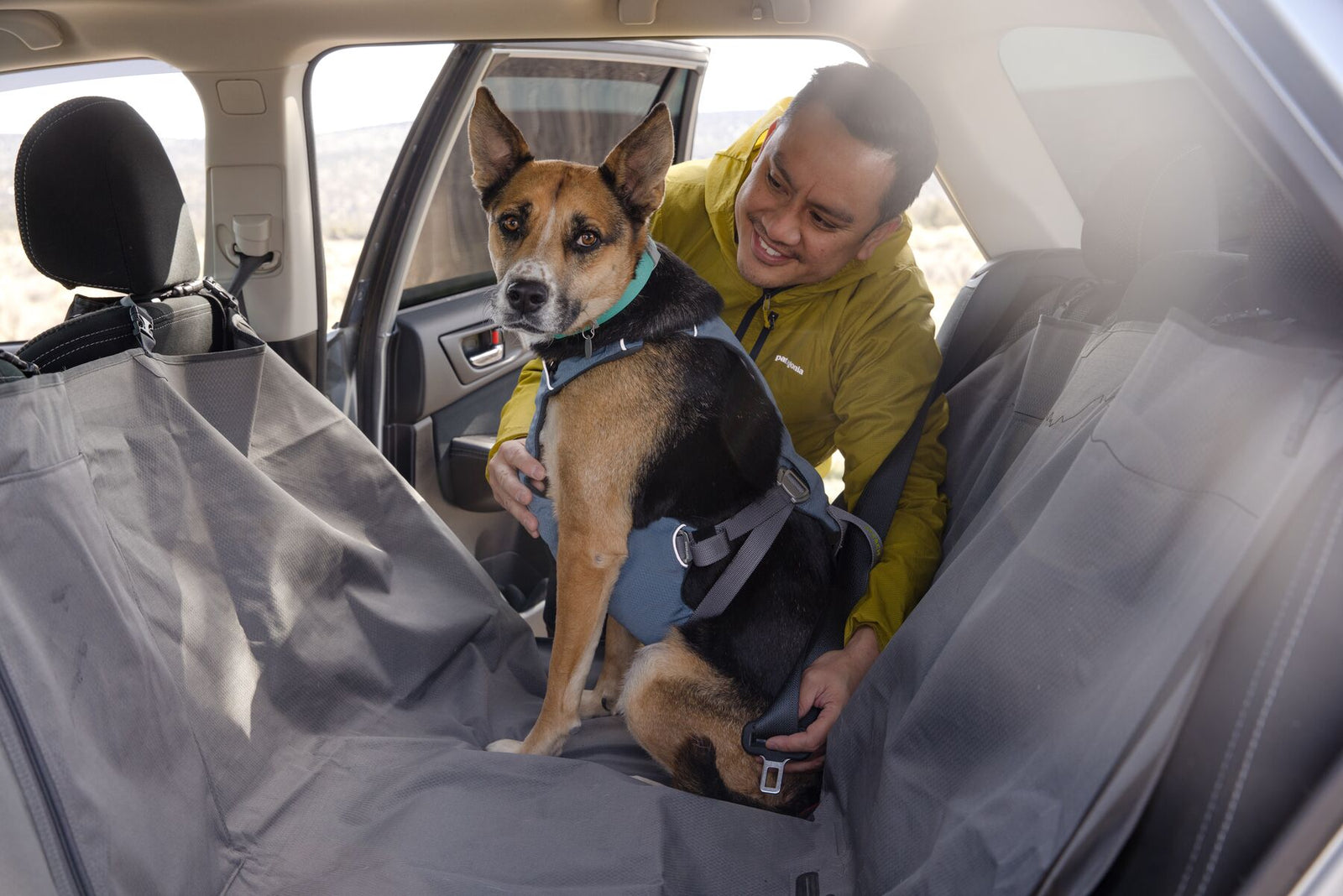 Load Up Dog Car Harness