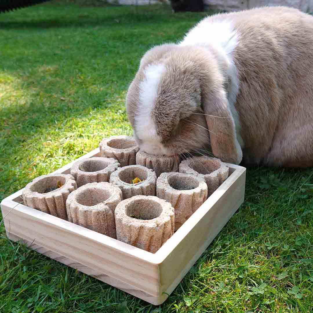 Rosewood Hide 'N' Treat Forage Tray for Rabbits | Barks &amp; Bunnies