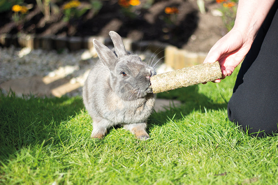 Rosewood Naturals Pea 'n' Mint Rollers | Barks &amp; Bunnies