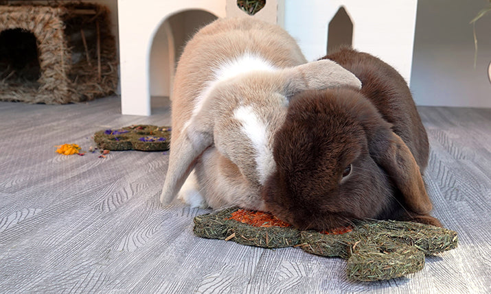 Rosewood Carrot &amp; Forage Bunny For Rabbits | Barks &amp; Bunnies