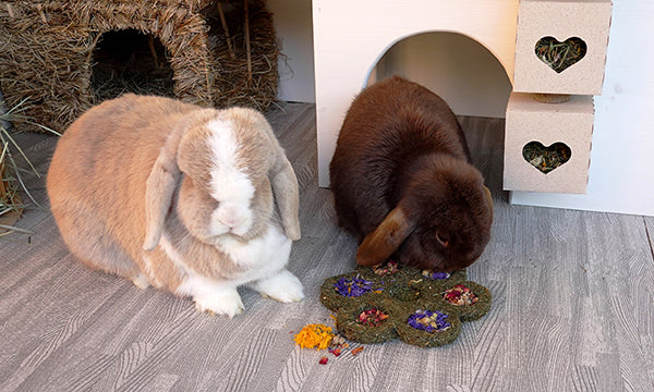 Rosewood Flower &amp; Forage Blossom For Rabbits | Barks &amp; Bunnies