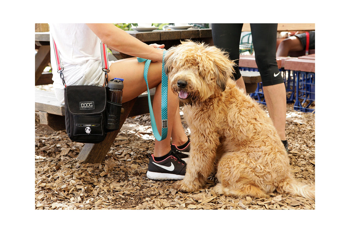 DOOG Walkie Bag, Cross Body Dog Walking Bag | Barks &amp; Bunnies