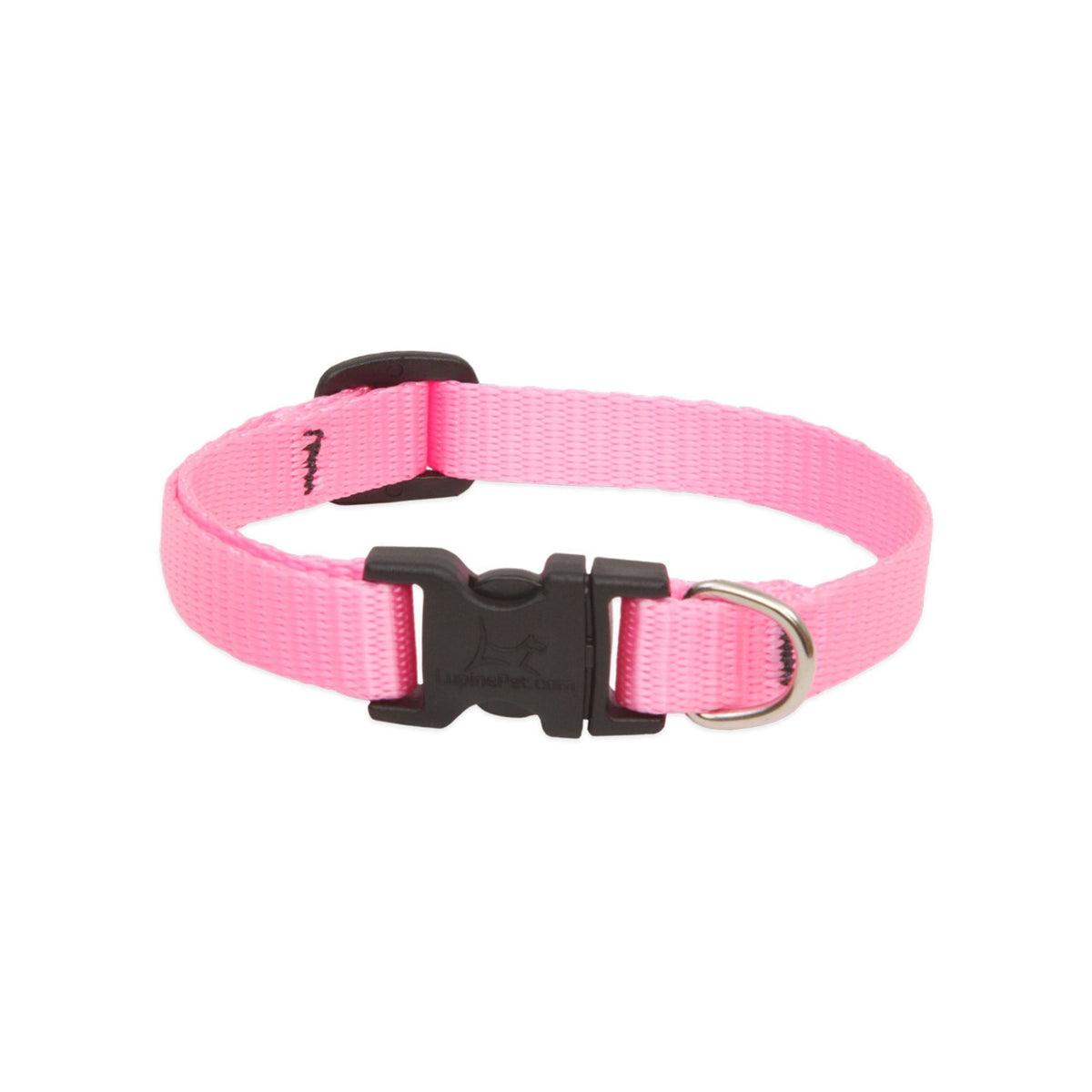 Lupine Basics Dog Collars Pink, Solid Plain Colours | Barks &amp; Bunnies
