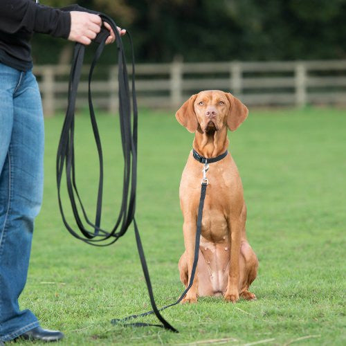 Clix Long Line Recall Training 10m, Dog Long Line | Barks &amp; Bunnies