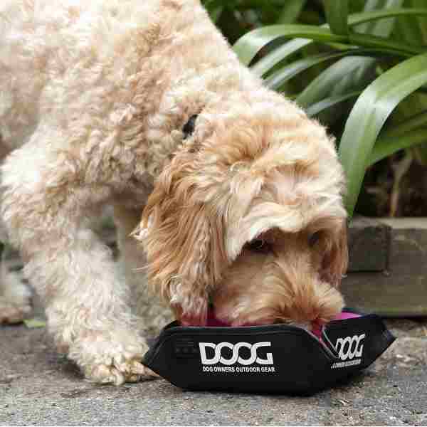 DOOG Portable Foldable Water Bowl for Dogs | Barks &amp; Bunnies