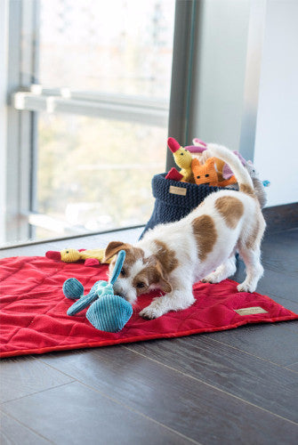 Bowl &amp; Bone Republic Cotton Basket Navy, Dog Toy Storage | Barks &amp; B..